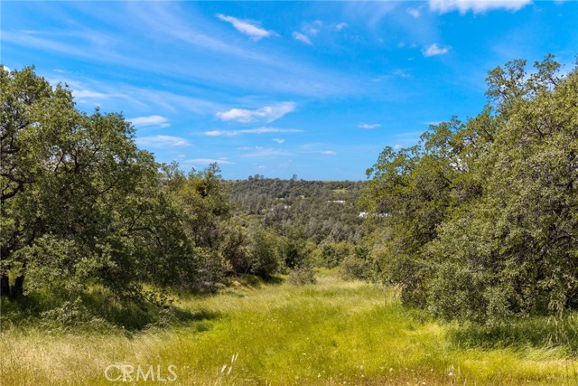 Detail Gallery Image 21 of 33 For 1978 Oregon Gulch Rd, Oroville,  CA 95965 - 3 Beds | 2 Baths