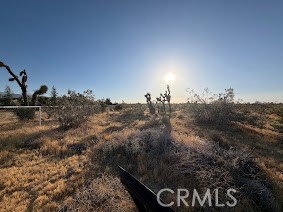 Front Image Thumbnail for CRHD26125920