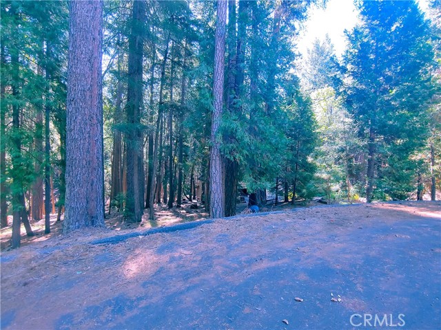 0 Tyler, Magalia, CA, 95954 0 Tyler, Magalia, CA, 95954