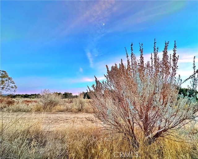 Detail Gallery Image 36 of 75 For 30415 Chihuahua Valley Rd, Warner Springs,  CA 92086 - 1 Beds | 1 Baths