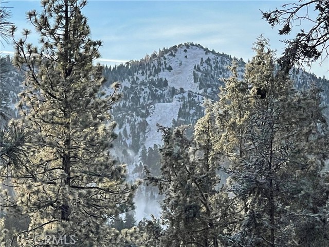Detail Gallery Image 18 of 22 For 585 Lucerne Dr, Big Bear Lake,  CA 92315 - 1 Beds | 1 Baths