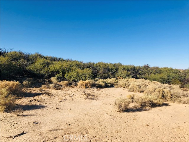 Detail Gallery Image 6 of 14 For 0 E of Mesquite Spr Rd, Twentynine Palms,  CA 92277 - – Beds | – Baths