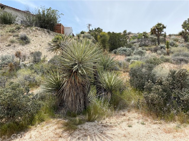 Image 2 for 0 Farrelo Rd, Yucca Valley, CA 92284