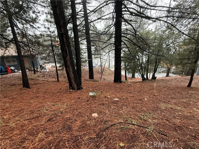 Detail Gallery Image 4 of 14 For 0 Poplar, Running Springs,  CA 92382 - – Beds | – Baths