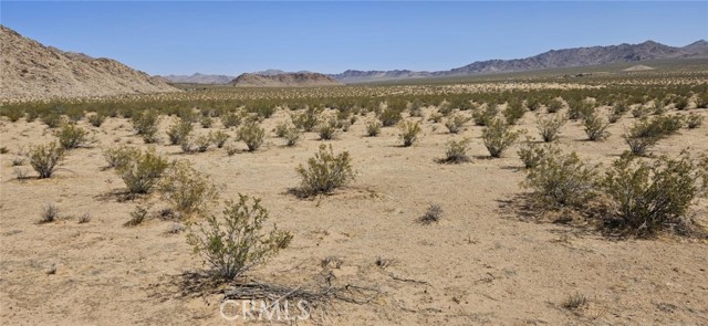 Detail Gallery Image 2 of 5 For 800 Brucite St. Ave, Lucerne Valley,  CA 92356 - – Beds | – Baths