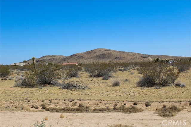 Detail Gallery Image 2 of 6 For 0 Duvall Dr, Joshua Tree,  CA 92252 - – Beds | – Baths