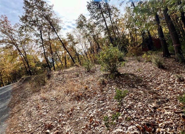 Detail Gallery Image 6 of 8 For 54692 Bluegill, Bass Lake,  CA 93604 - – Beds | – Baths