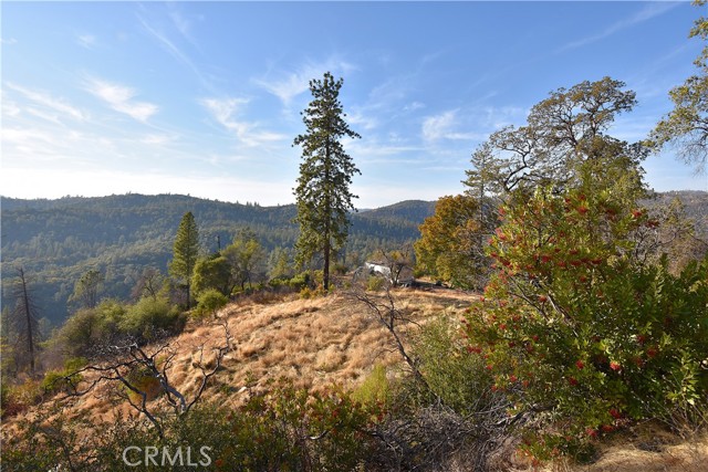 Detail Gallery Image 11 of 13 For 0 Canyon Creek Rd, Berry Creek,  CA 95966 - – Beds | – Baths