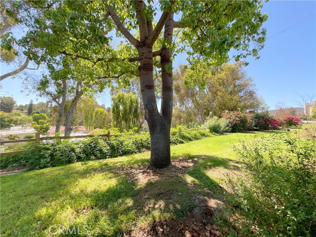 Detail Gallery Image 4 of 54 For 5451 Calle Pico a,  Laguna Woods,  CA 92637 - 3 Beds | 2 Baths