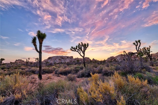 Detail Gallery Image 27 of 32 For 65076 E Broadway, Joshua Tree,  CA 92252 - 2 Beds | 1 Baths