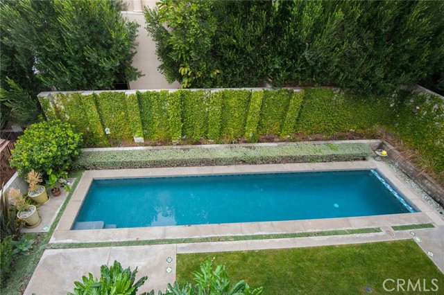 Backyard lap pool