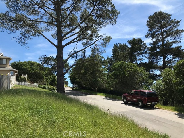 0 Richard Avenue, Cambria, California 93428, ,Land,For Sale,0 Richard Avenue,CRSC22216881