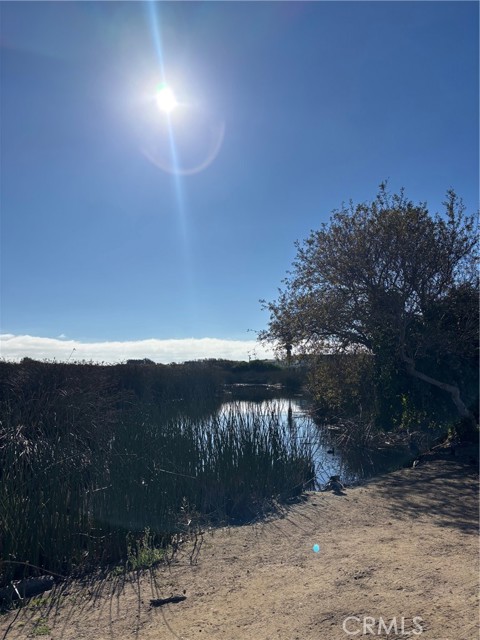 Detail Gallery Image 6 of 10 For 377 Juanita, Oceano,  CA 93445 - – Beds | – Baths