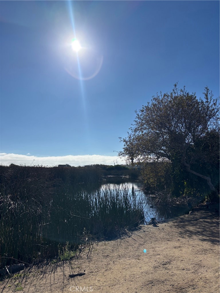 MLS #PI25267582 image #5