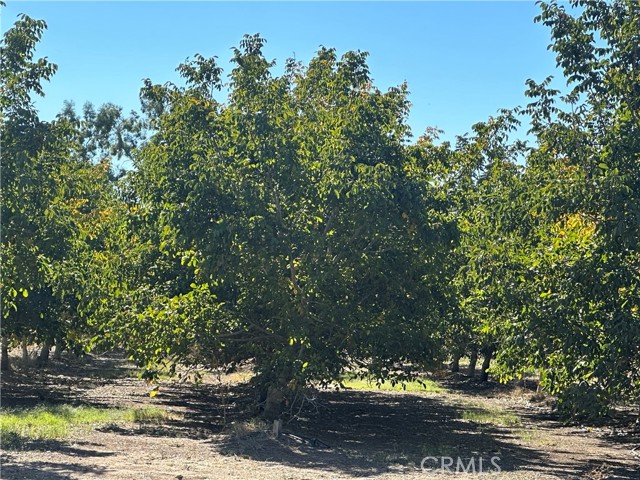 Detail Gallery Image 1 of 6 For 3149 County Rd H, Orland,  CA 95963 - 3 Beds | 2 Baths