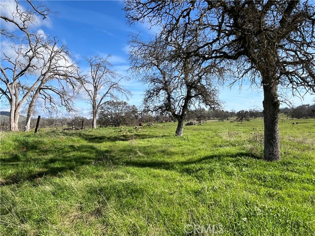 Detail Gallery Image 7 of 17 For 2463 Old Hwy, Catheys Valley,  CA 95306 - – Beds | – Baths