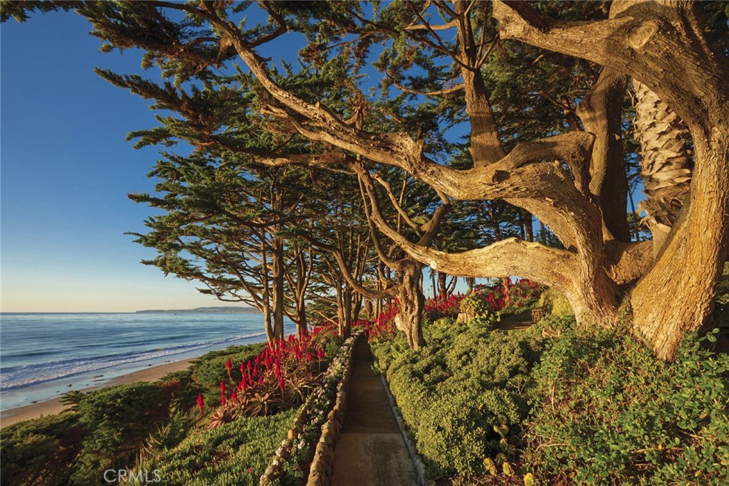 MLS #OC25253150 image #41