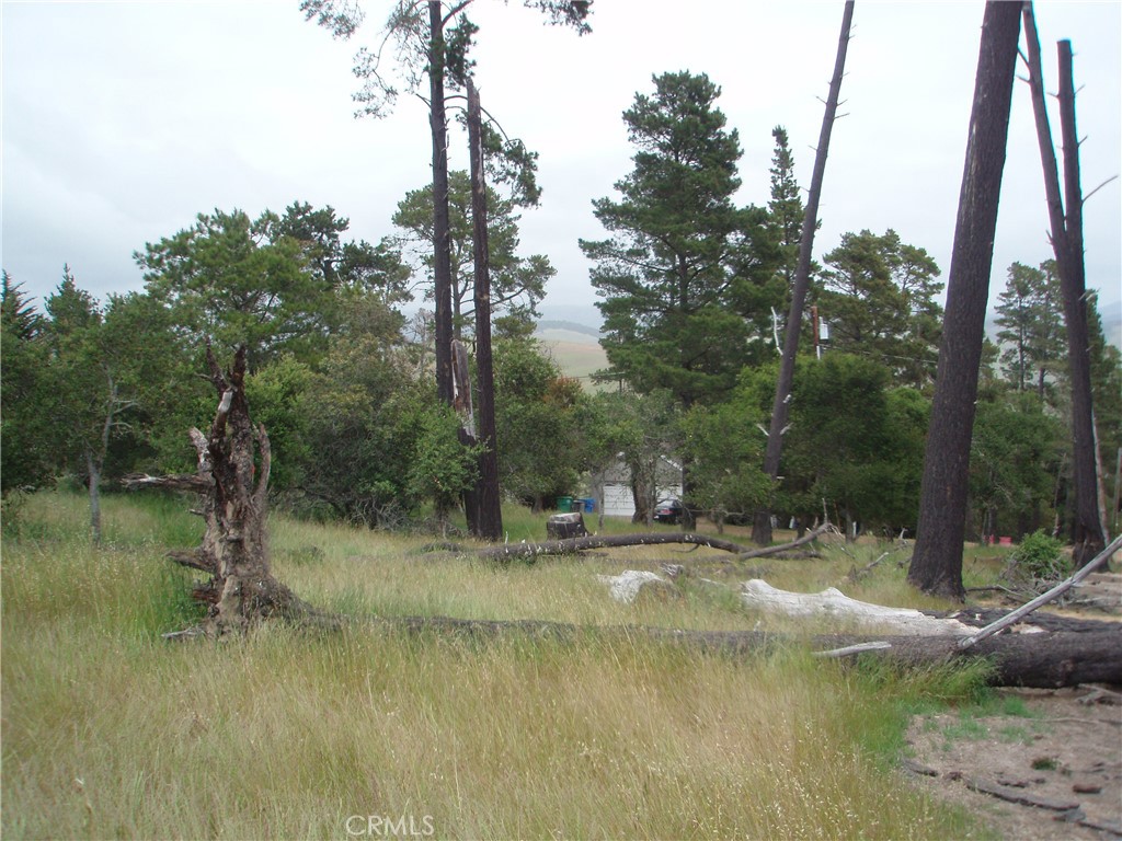 1516 Spencer Street, Cambria, CA 93428