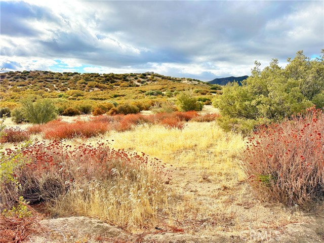 Detail Gallery Image 31 of 46 For 40 Acres via Oak Grove Ln, Ranchita,  CA 92066 - – Beds | – Baths