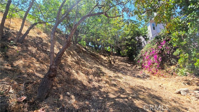 Detail Gallery Image 10 of 16 For 631 N Avenue 48, Los Angeles,  CA 90042 - 4 Beds | 4 Baths