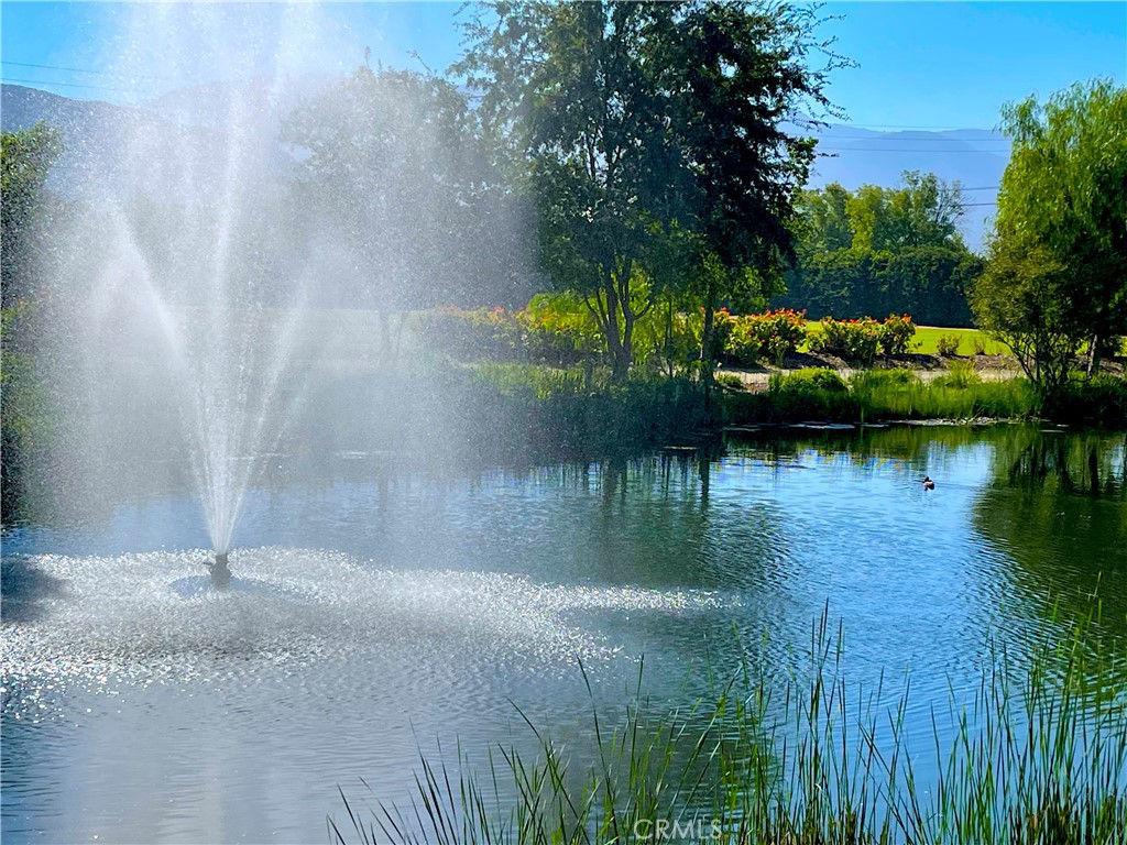 https://media.crmls.org/medias/b70a1b56-1cc7-481f-b6ca-cd62dbfed49a.jpg?preset=X-Large