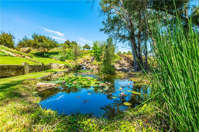 42970 Grace Lane, Murrieta CA: https://media.crmls.org/medias/b70d8b22-f0c8-49ea-8959-e0a055e04787.jpg