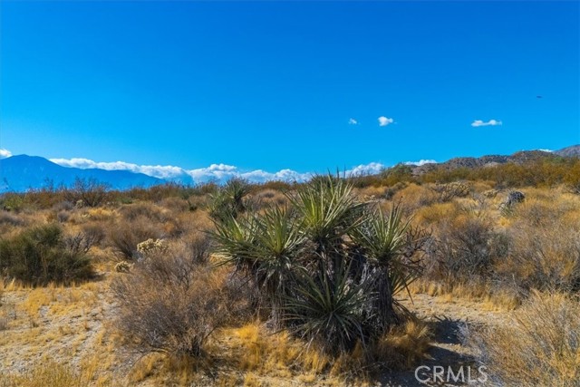 Detail Gallery Image 14 of 34 For 9457 Fobes Rd, Morongo Valley,  CA 92256 - – Beds | – Baths