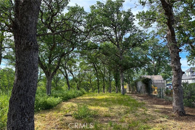 Detail Gallery Image 23 of 26 For 16475 River Heights Dr, Red Bluff,  CA 96080 - – Beds | – Baths