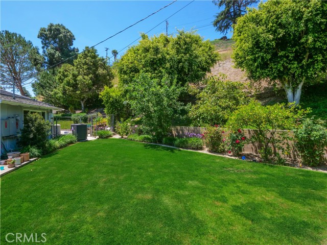 Grassy Side Yard