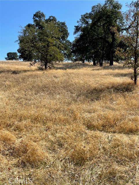 Detail Gallery Image 11 of 17 For 0 Bryden Way, Oroville,  CA 95966 - – Beds | – Baths