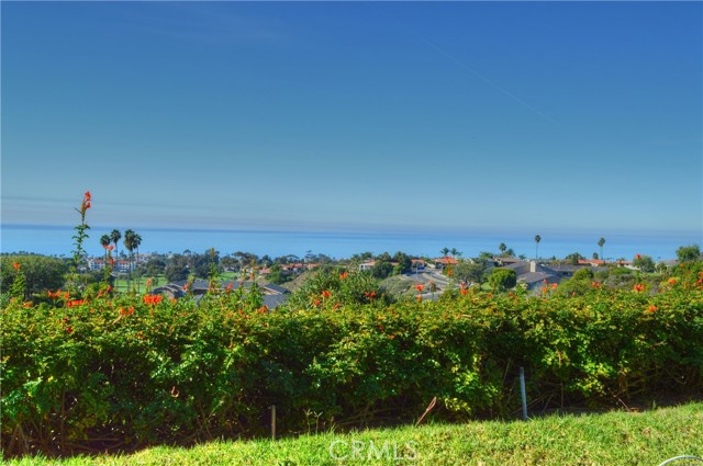 146 Avenida Baja, San Clemente CA: https://media.crmls.org/medias/b7317627-e2ea-4b53-8fa6-c5e78fcebfa8.jpg