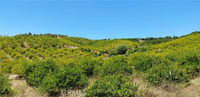 5 De Anza Road, Temecula CA: https://media.crmls.org/medias/b733567f-d6ef-43e7-9672-8779cfdbefa5.jpg