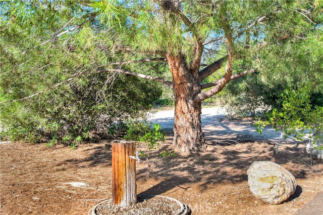 Detail Gallery Image 74 of 75 For 273 Montana Del Lago, Rancho Santa Margarita,  CA 92688 - 3 Beds | 2/1 Baths