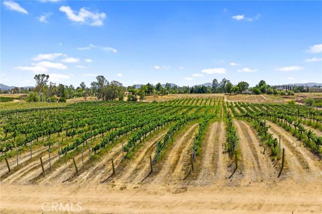 0 Berenda Road, Temecula CA: https://media.crmls.org/medias/b7356fbc-cfef-4875-882c-a27d22aa10bd.jpg