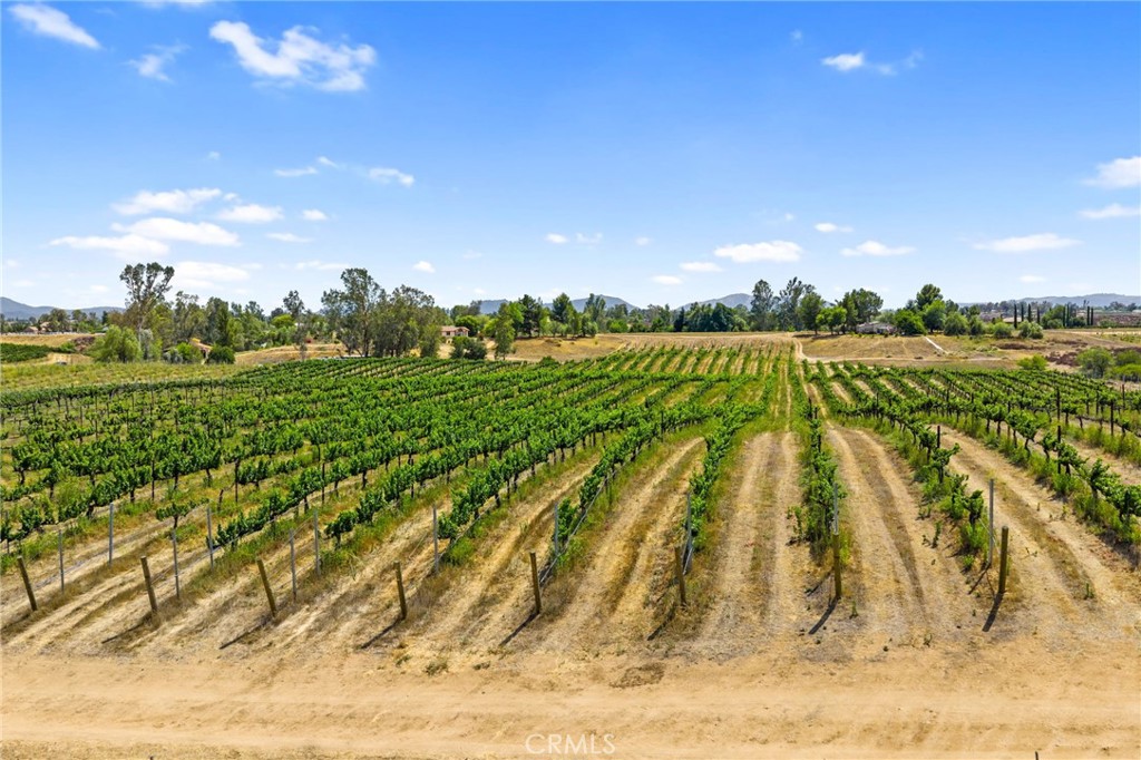 MLS #SW25161061 img 15