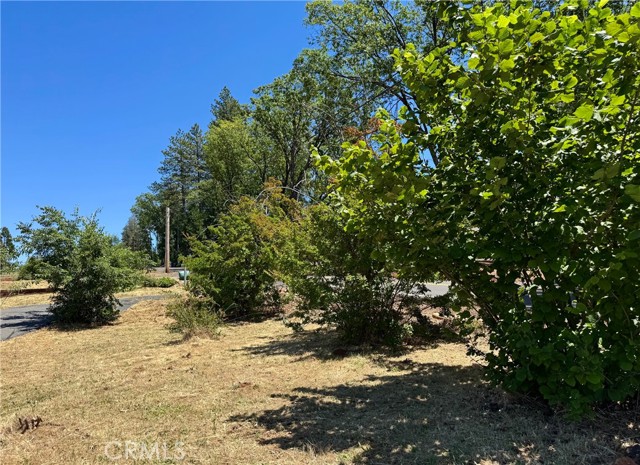 Front Image Thumbnail for CRPA26172946