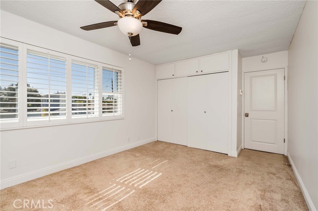 Bright and Sunny -facing south