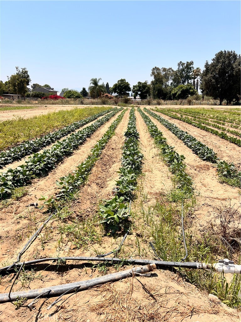 MLS #OC23188579 img 2