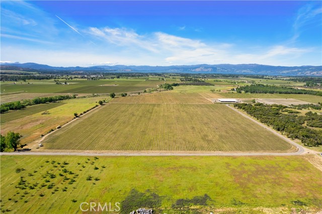 Detail Gallery Image 19 of 29 For 1650 Bell Hill Rd, Kelseyville,  CA 95451 - – Beds | – Baths