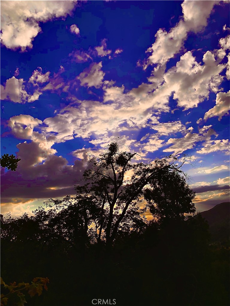 https://media.crmls.org/medias/b74c7f46-a668-4ad1-8209-ba0745b1cb43.jpg?preset=X-Large