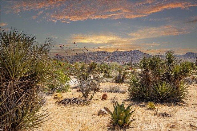 Detail Gallery Image 7 of 36 For 61261 Onaga Trl, Joshua Tree,  CA 92252 - 3 Beds | 2 Baths