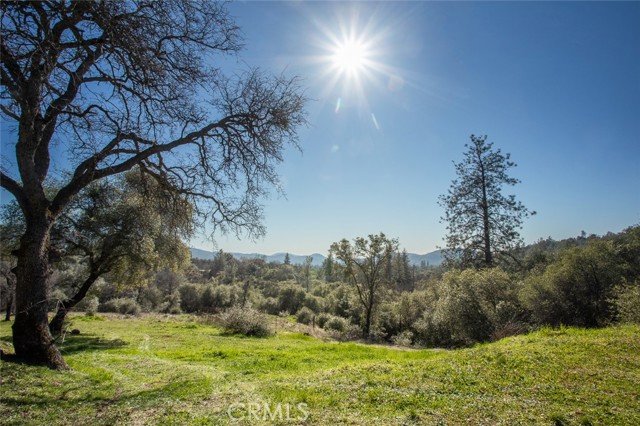 Detail Gallery Image 62 of 74 For 1718 Robinson Mill Rd, Bangor,  CA 95914 - 3 Beds | 2/1 Baths