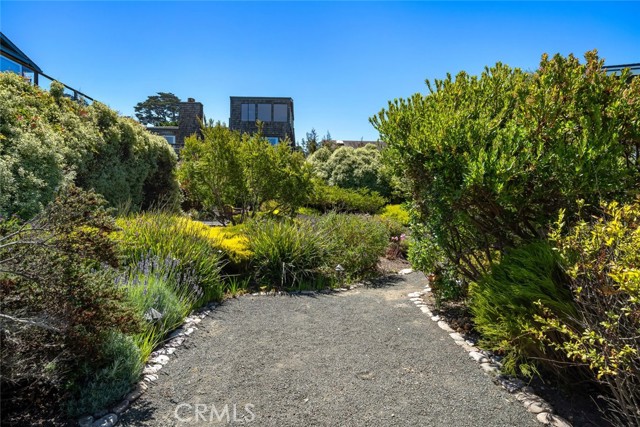 373 Bristol Street, Cambria CA: https://media.crmls.org/medias/b76071dc-d9af-4e8c-9314-6b98d87cc2d5.jpg