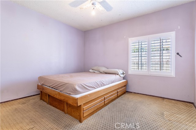 448 Fermoore photo 12