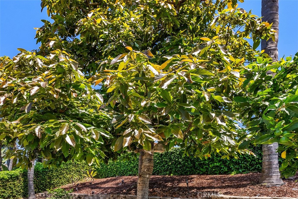 https://media.crmls.org/medias/b763f322-a257-4036-91a6-d98f0b0ec1f9.jpg?preset=X-Large