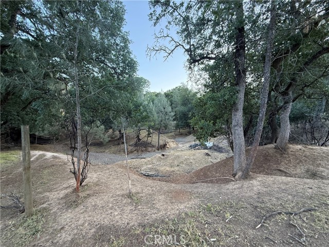 Detail Gallery Image 9 of 12 For 16812 Stagecoach Rd, Corning,  CA 96021 - – Beds | – Baths