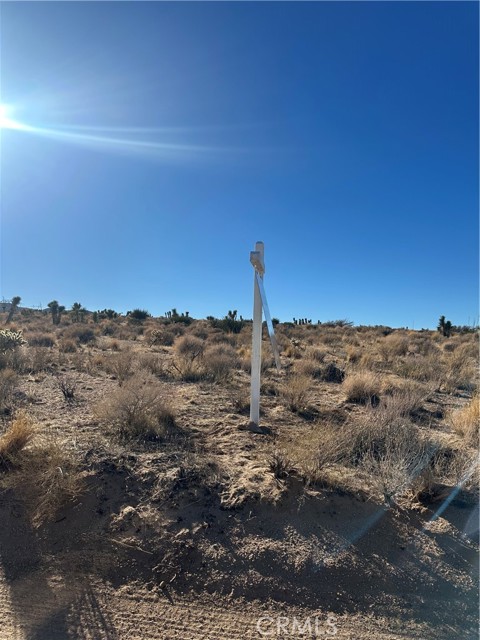 Front Image Thumbnail for CRHD25246341