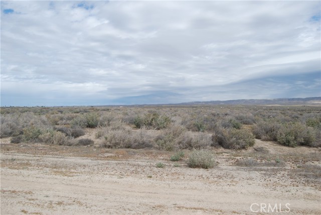 From Cole Trail looking southeast