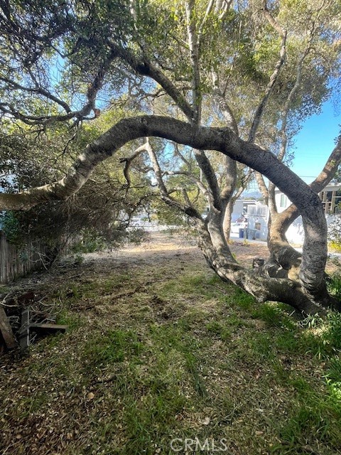 405 Henrietta Avenue, Los Osos CA: https://media.crmls.org/medias/b7709f27-935c-43f0-b9dc-a3e54d528008.jpg