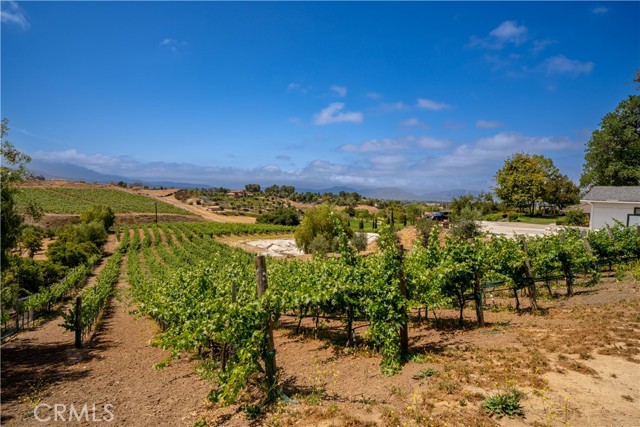 34150 Pauba Road, Temecula CA: https://media.crmls.org/medias/b77b024a-c83f-4cb4-8b93-745ea6ea0036.jpg